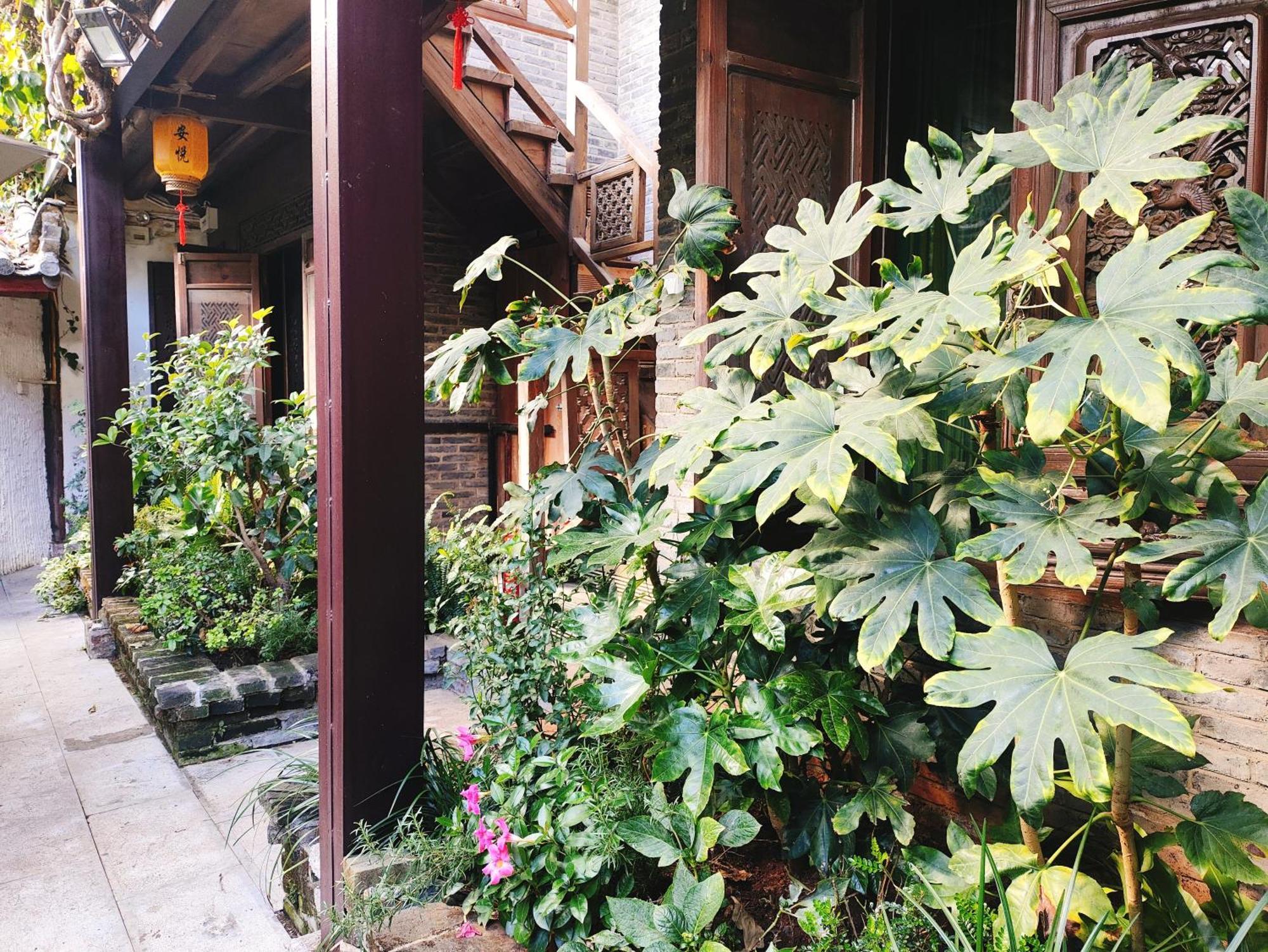 Big Tree Guesthouse - Naxi Old Style Λιγιάνγκ Εξωτερικό φωτογραφία
